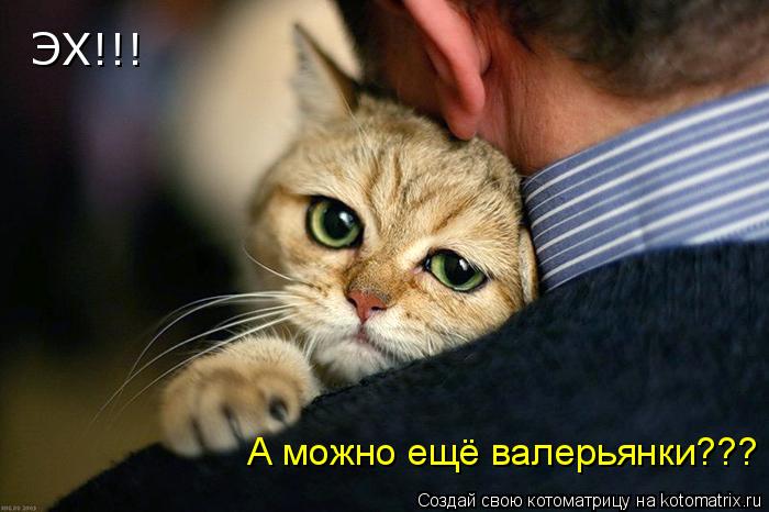 Котоматрица: ЭХ!!! А можно ещё валерьянки???