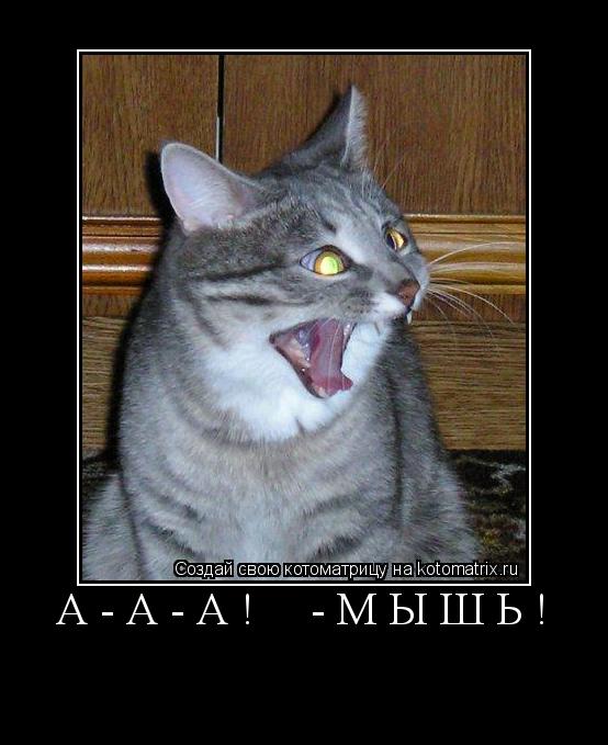 А-а-а! -Мышь! ... Котоматрица: А-а-а! -Мышь!