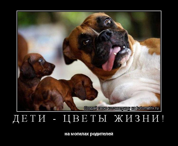 Дети - цветы жизни! на могилах родителей... Котоматрица: Дети - цветы жизни! на могилах родителей