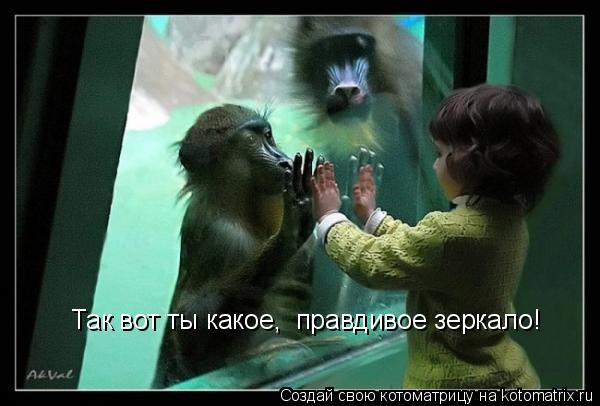 Котоматрица: Так вот ты какое,  правдивое зеркало!