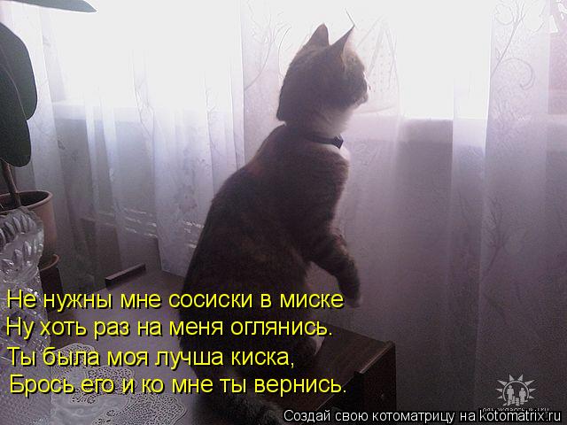 Котоматрица: Не нужны мне сосиски в миске Ну хоть раз на меня оглянись. Ты была моя лучша киска, Брось его и ко мне ты вернись.