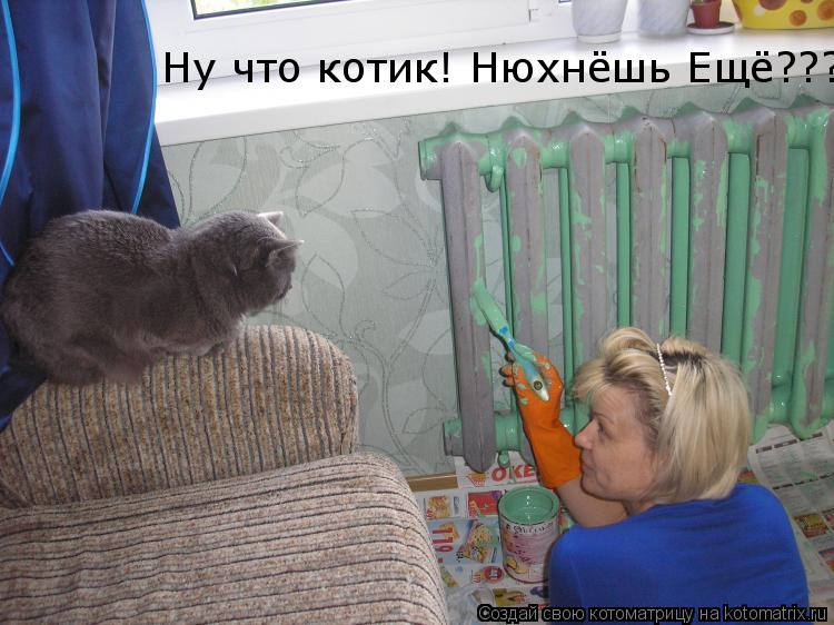 Котоматрица: Ну что котик! Нюхнёшь Ещё???