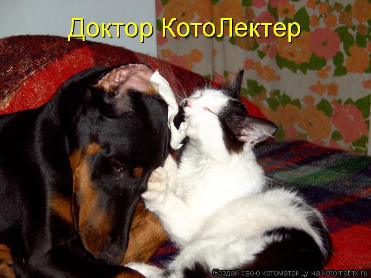 Котоматрица: Доктор КотоЛектер