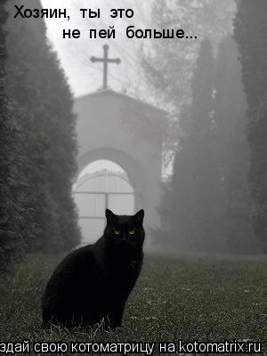 Котоматрица: Хозяин,  ты  это не  пей  больше...