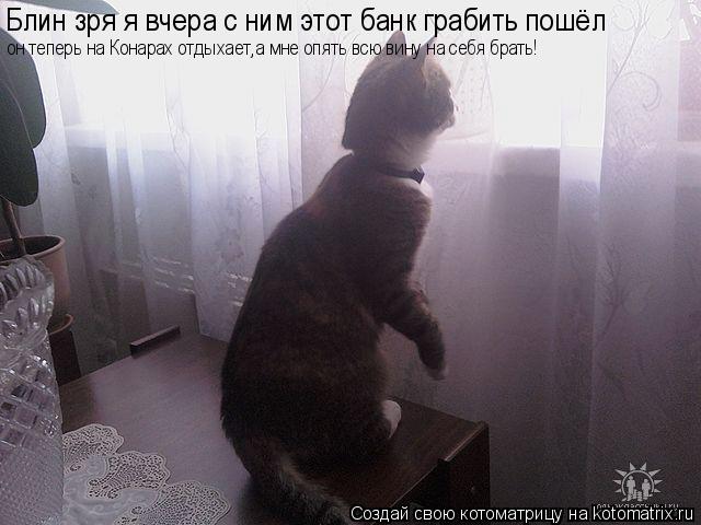 Котоматрица: Блин зря я вчера с ним этот банк грабить пошёл  он теперь на Конарах отдыхает,а мне опять всю вину на себя брать!