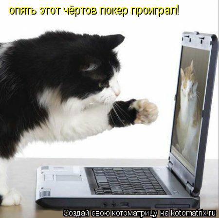 Котоматрица: опять этот чёртов покер проиграл!