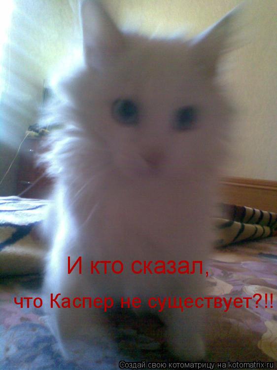 Котоматрица: И кто сказал,  что Каспер не существует?!!