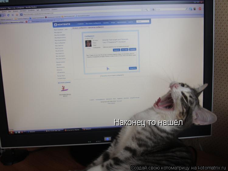 Котоматрица: Наконец то нашёл