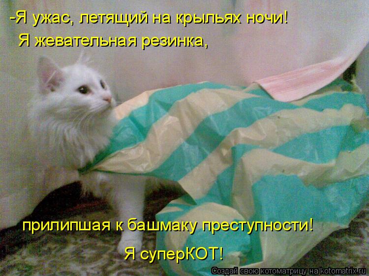 Я жевательная резинка, прилипшая к башмаку преступности! Я суперКОТ! -Я ужас, летящий на крыльях ноч... Котоматрица: Я жевательная резинка, прилипшая к башмаку преступности! Я суперКОТ! -Я ужас, летящий на крыльях ночи!