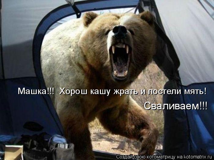 Машка!!! Хорош кашу жрать и постели мять! Сваливаем!!!... Котоматрица: Машка!!! Хорош кашу жрать и постели мять! Сваливаем!!!