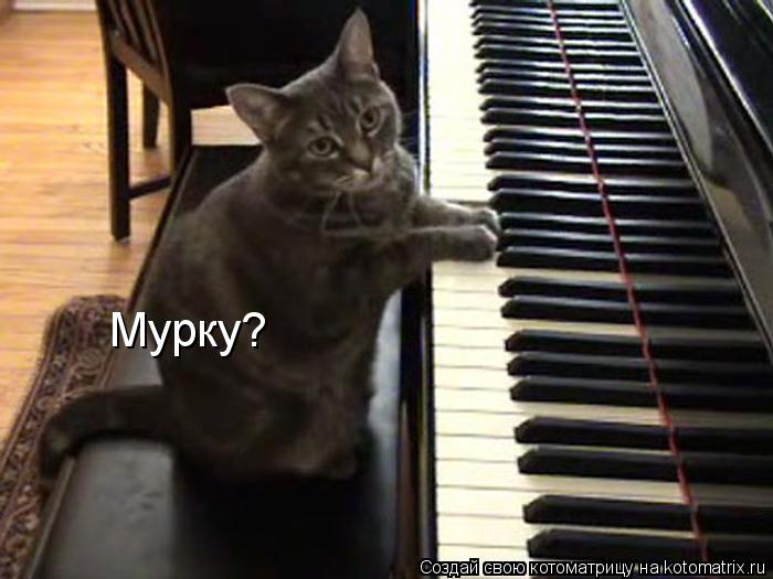 Мурку?... Котоматрица: Мурку?