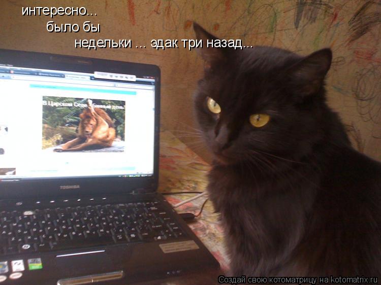 Котоматрица: интересно... было бы недельки ... эдак три назад...