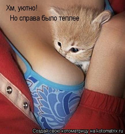 Котоматрица: Хм, уютно! Но справа было теплее