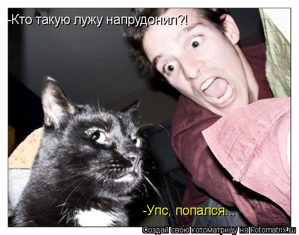 -Кто такую лужу напрудонил?! -Упс, попался...... Котоматрица: -Кто такую лужу напрудонил?! -Упс, попался...