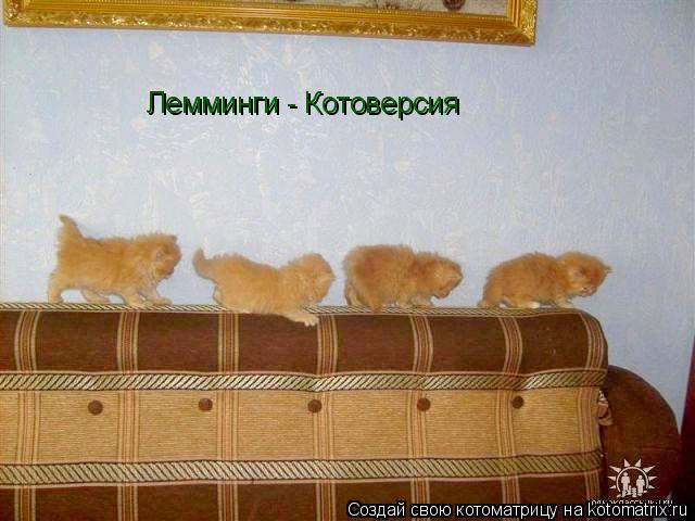 Лемминги - Котоверсия... Котоматрица: Лемминги - Котоверсия