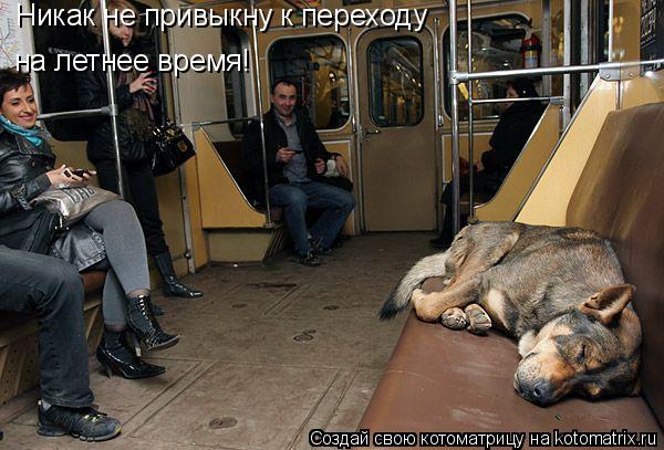 Никак не привыкну к переходу на летнее время!... Котоматрица: Никак не привыкну к переходу на летнее время!