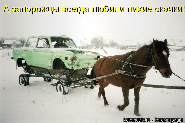 А запорожцы всегда любили лихие скачки!... Котоматрица: А запорожцы всегда любили лихие скачки!