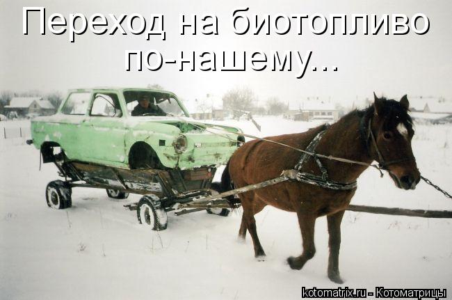 Переход на биотопливо по-нашему...... Котоматрица: Переход на биотопливо по-нашему...