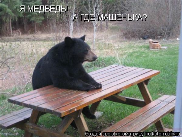 Я МЕДВЕДЬ! А ГДЕ МАШЕНЬКА?... Котоматрица: Я МЕДВЕДЬ! А ГДЕ МАШЕНЬКА?