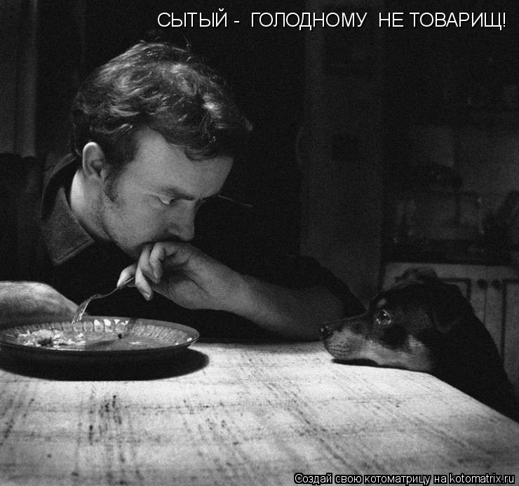 Котоматрица: СЫТЫЙ -  ГОЛОДНОМУ  НЕ ТОВАРИЩ!