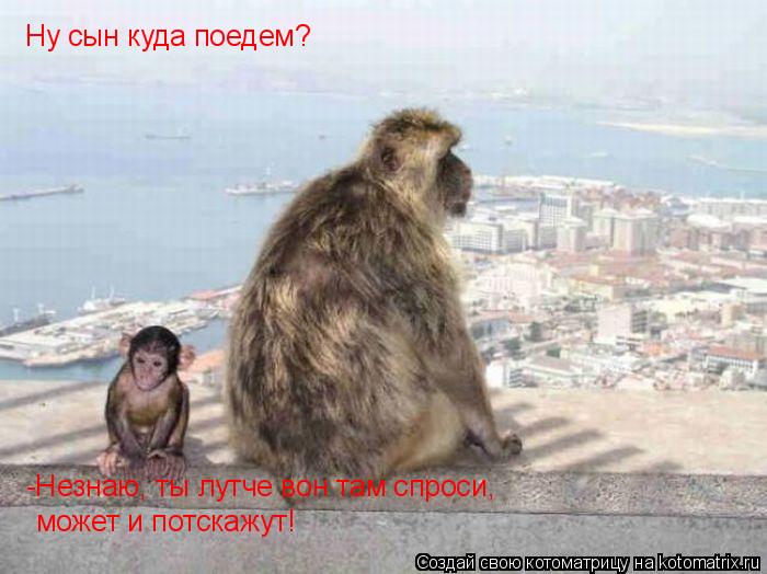 Ну сын куда поедем? -Незнаю, ты лутче вон там спроси, может и потскажут!... Котоматрица: Ну сын куда поедем? -Незнаю, ты лутче вон там спроси, может и потскажут!
