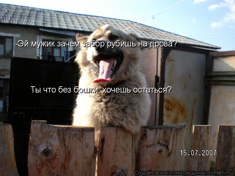 -Эй мужик зачем забор рубишь на дрова? Ты что без бошки хочешь остаться?... Котоматрица: -Эй мужик зачем забор рубишь на дрова? Ты что без бошки хочешь остаться?