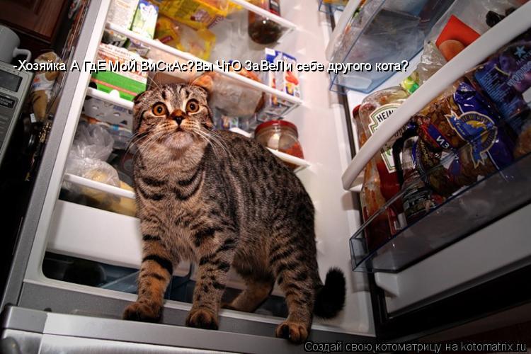 -Хозяйка А ГдЕ МоЙ ВиСкАс?Вы ЧтО ЗаВеЛи себе другого кота?... Котоматрица: -Хозяйка А ГдЕ МоЙ ВиСкАс?Вы ЧтО ЗаВеЛи себе другого кота?