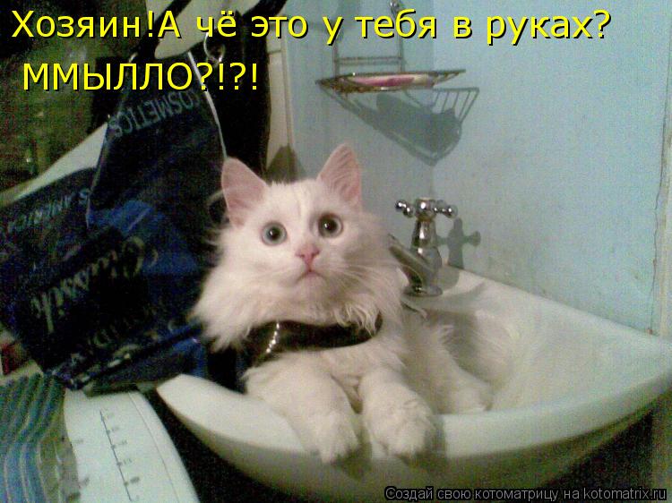 Хозяин!А чё это у тебя в руках? ММЫЛЛО?!?! ММЫЛЛО?!?!... Котоматрица: Хозяин!А чё это у тебя в руках? ММЫЛЛО?!?! ММЫЛЛО?!?!