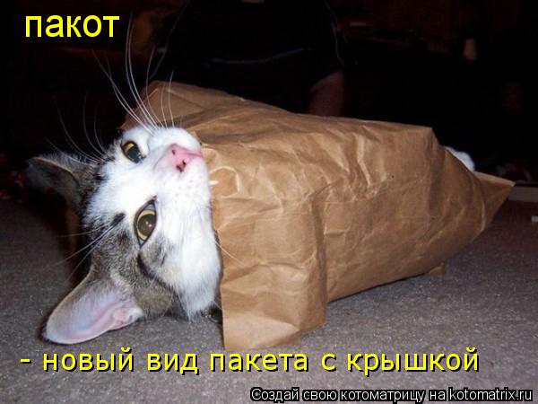 пакот - новый вид пакета с крышкой... Котоматрица: пакот - новый вид пакета с крышкой