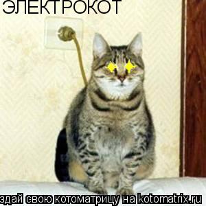 ЭЛЕКТРОКОТ... Котоматрица: ЭЛЕКТРОКОТ
