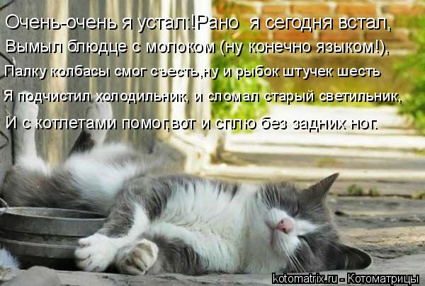 Очень-очень я устал:!Рано я сегодня встал, Вымыл блюдце с молоком (ну конечно языком!), Палку колбас... Котоматрица: Очень-очень я устал:!Рано я сегодня встал, Вымыл блюдце с молоком (ну конечно языком!), Палку колбасы смог съесть,ну и рыбок штучек шесть Я по