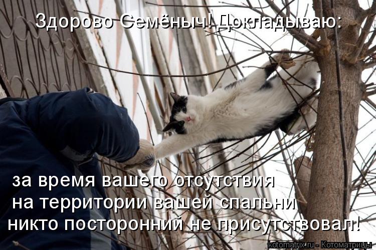 Здорово Семёныч! Докладываю: за время вашего отсутствия на территории вашей спальни никто посторонн... Котоматрица: Здорово Семёныч! Докладываю: за время вашего отсутствия на территории вашей спальни никто посторонний не присутствовал!