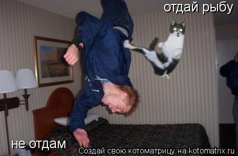 отдай рыбу не отдам... Котоматрица: отдай рыбу не отдам