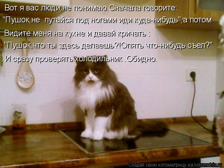 Вот я вас люди,не понимаю.Сначала говорите: "Пушок,не путайся под ногами иди куда-нибудь",а потом Ви... Котоматрица: Вот я вас люди,не понимаю.Сначала говорите: "Пушок,не путайся под ногами иди куда-нибудь",а потом Видите меня на кухне и давай кричать : "Пушо