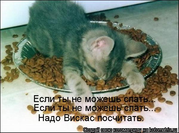 Если ты не можешь спать... Если ты не можешь спать... Надо Вискас посчитать.... Котоматрица: Если ты не можешь спать... Если ты не можешь спать... Надо Вискас посчитать.