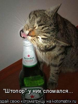 "Штопор" у них сломался...... Котоматрица: "Штопор" у них сломался...
