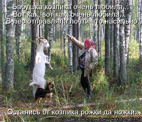 Бабушка козлика очень любила... Вот как, вот как, очень любила... В лес отправляла почти что насильно... Котоматрица: Бабушка козлика очень любила... Вот как, вот как, очень любила... В лес отправляла почти что насильно... Остались от козлика рожки да ножки...