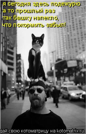 я сегодня здесь подежурю а то прошлый раз так башку напекло, что покормить забыл!... Котоматрица: я сегодня здесь подежурю а то прошлый раз так башку напекло, что покормить забыл!