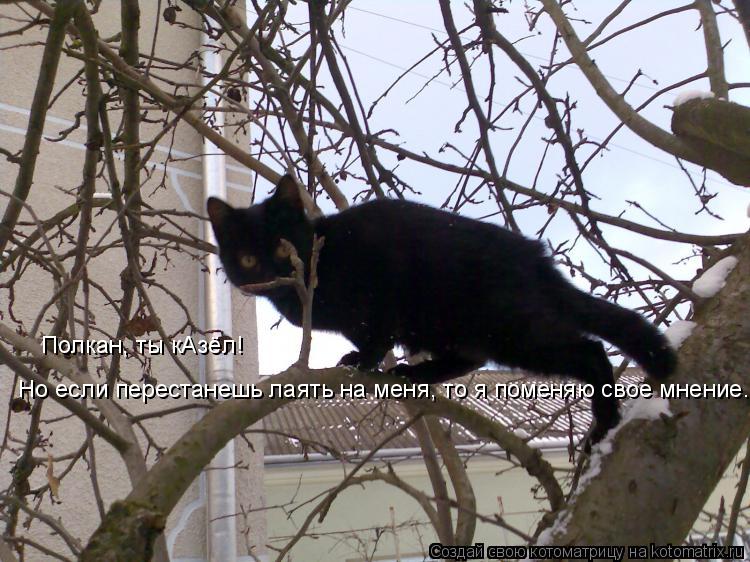Полкан, ты кАзёл! Но если перестанешь лаять на меня, то я поменяю свое мнение. Но если перестанешь л... Котоматрица: Полкан, ты кАзёл! Но если перестанешь лаять на меня, то я поменяю свое мнение. Но если перестанешь лаять на меня, то я поменяю свое мнение.