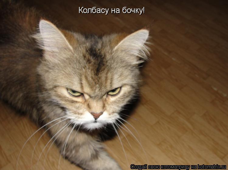 Колбасу на бочку!... Котоматрица: Колбасу на бочку!