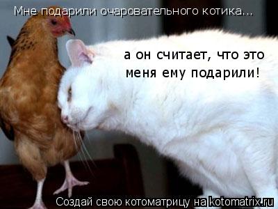 Мне подарили очаровательного котика... а он считает, что это меня ему подарили! Мне подарили очароват... Котоматрица: Мне подарили очаровательного котика... а он считает, что это меня ему подарили! Мне подарили очаровательного котика... а он считает, что это