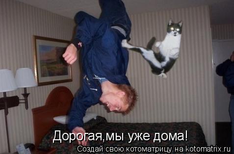 Дорогая,мы уже дома!... Котоматрица: Дорогая,мы уже дома!