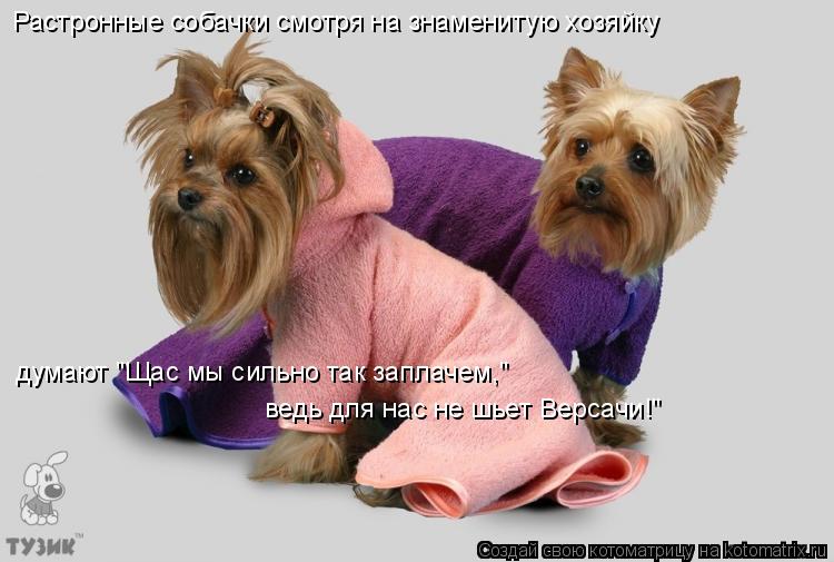 Растронные собачки смотря на знаменитую хозяйку думают "Щас мы сильно так заплачем," ведь для нас не... Котоматрица: Растронные собачки смотря на знаменитую хозяйку думают "Щас мы сильно так заплачем," ведь для нас не шьет Версачи!"