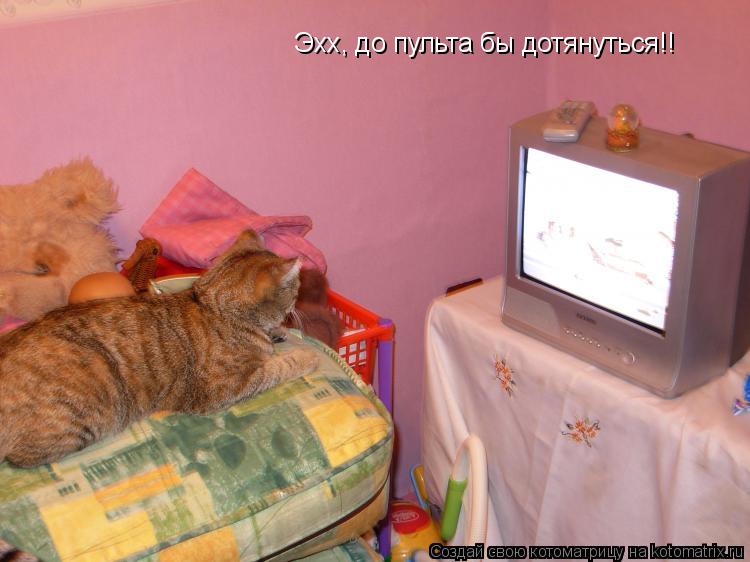 Котоматрица: Эхх, до пульта бы дотянуться!!