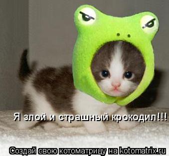 Я злой и страшный крокодил!!!... Котоматрица: Я злой и страшный крокодил!!!