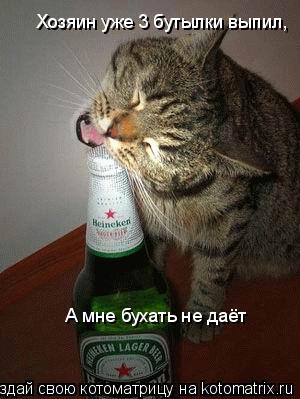 Хозяин уже 3 бутылки выпил, А мне бухать не даёт... Котоматрица: Хозяин уже 3 бутылки выпил, А мне бухать не даёт