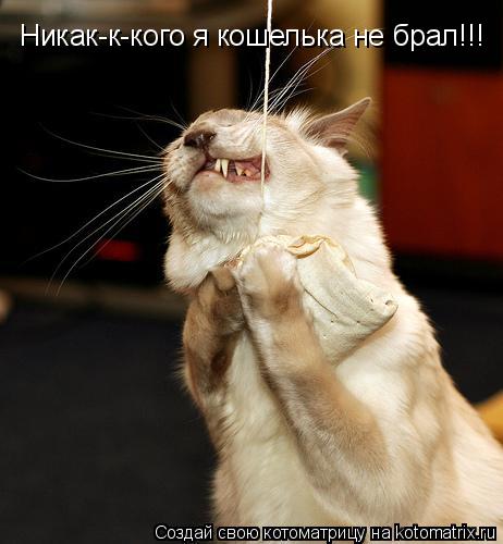 Никак-к-кого я кошелька не брал!!!... Котоматрица: Никак-к-кого я кошелька не брал!!!