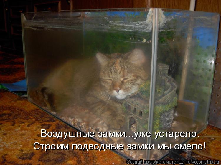 Воздушные замки...уже устарело. Строим подводные замки мы смело!... Котоматрица: Воздушные замки...уже устарело. Строим подводные замки мы смело!
