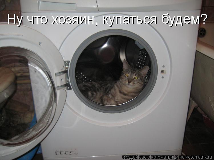 Ну что хозяин, купаться будем?... Котоматрица: Ну что хозяин, купаться будем?