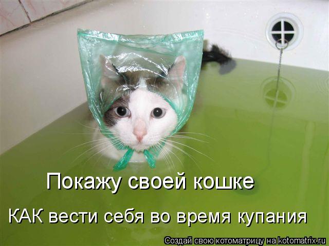 Покажу своей кошке КАК вести себя во время купания... Котоматрица: Покажу своей кошке КАК вести себя во время купания